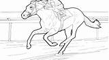 Draft Horse Coloring Pages sketch template