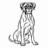 Proud boxer Dog coloring Page Lulu Pages sketch template