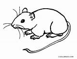Mouse Coloring Pages Printable sketch template