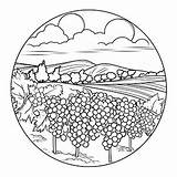 Free Vineyard Coloring Pages – Corner sketch template