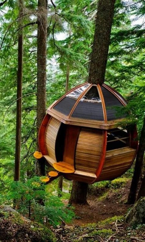 Creative Treehouse Ideas | Tree house designs, Cool tree houses, Tree ...