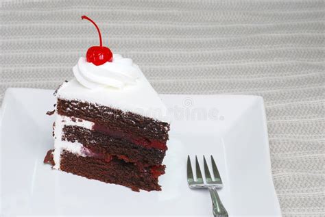 Slice of Chocolate Black Forest Cake with a Cherry Stock Photo - Image of creamy, delicious: 4761442