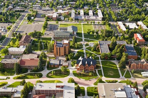 Montana State University – Study Montana