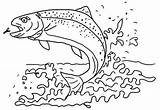 Beautiful Trout Coloring Pages For Kids  sketch template