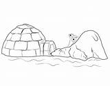 Three Bears With Igloo Coloring Page  Download Print Or Color Online sketch template