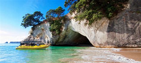 Cathedral Cove Tours Coromandel NZ | Experience Oz