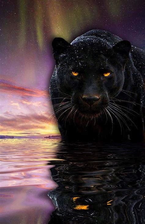 Angry Black Panther Wallpaper