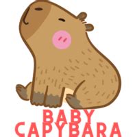 The Fascinating Relationship Between Crocodiles and Capybaras - Baby Capybara