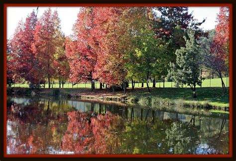 Fall at Ironstone Vineyards, Murphys, CA | Ironstone vineyards ...