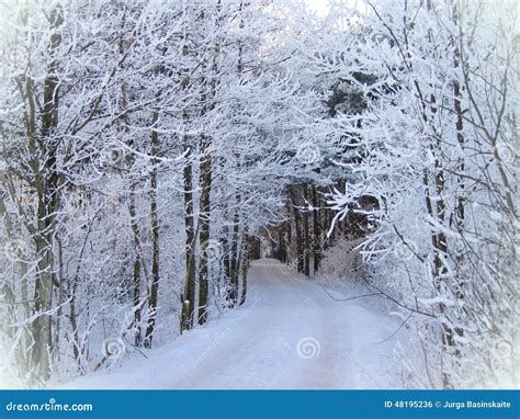 Lithuanian Landscape in Winter Stock Photo - Image of lithuania, cold ...