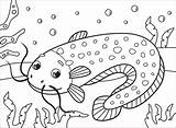 Catfish coloring Page  Free Printable Coloring Pages sketch template