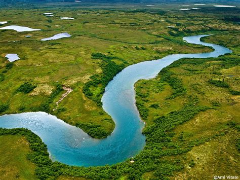 River Clean-Up - The Nature Conservancy