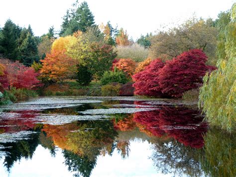 File:Autumn colours at VanDusen Botanical Garden.jpg - Wikipedia, the ...
