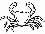 A Crab coloring Page  Download Print Or Color Online For Free sketch template