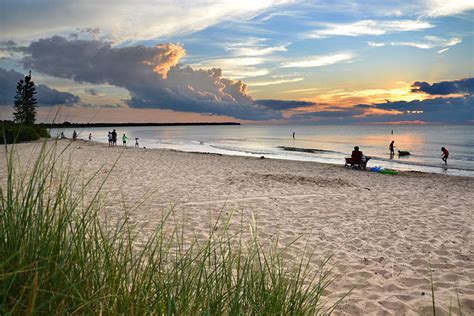 Coastal Habitats | Michigan Sea Grant