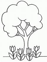 Plants Coloring Pages Printable  Home sketch template