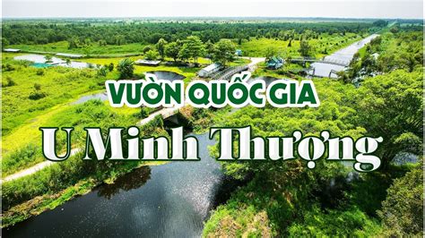 Vườn quốc gia U Minh Thượng – Check-in thiên nhiên hoang dã miền Tây