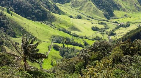 Visita Quindío: scopri il meglio di Quindío, Colombia, nel 2024 | Viaggia con Expedia