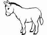 Donkeys Coloring Pages And Printable Activities sketch template