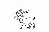 Pequeño Alce Para colorear Imprimir E Dibujar –ColoringOnlyCom sketch template