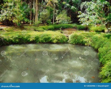 Painting of a Lake and Trees. Stock Illustration - Illustration of canvas, creative: 128360986