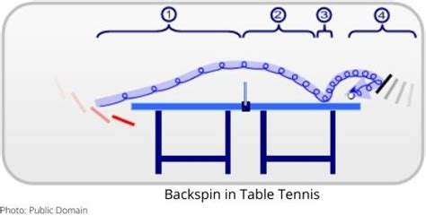 Spin in Table Tennis: How to Create and Counter - TABLE TENNIS ARENA