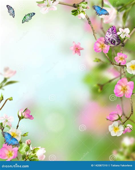 Background Nature with Flowers and Butterflies Stock Photo - Image of ...