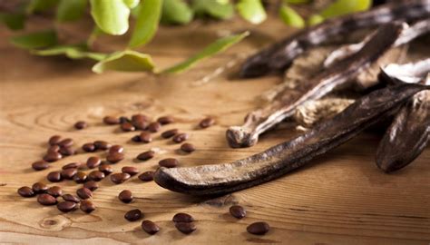 What Is Carob? | Garden Guides