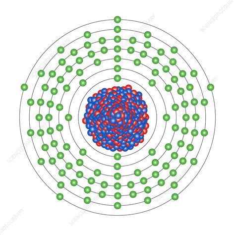 Ununpentium, atomic structure - Stock Image - C013/1858 - Science Photo Library