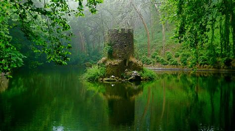 Mystic Forest - Explore Sintra’S Fairy Tale Pena Palace - (Shared Tour ...