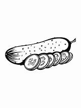 Cucumber Coloring Pages  Best Coloring For Kids sketch template