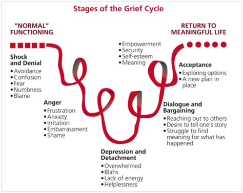 What is Grief Cycle; Examples and Stages of Grief