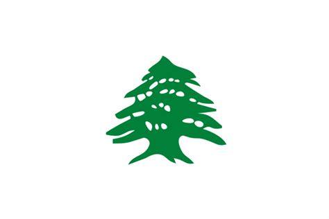 Lebanon National Flag | History & Facts | Flagmakers