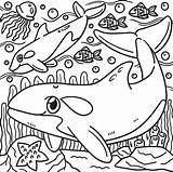 Killer Whale Coloring Page For Kids 10789146 Vector Art At Vecteezy sketch template