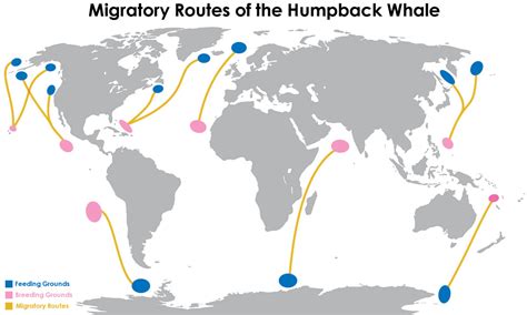 Quark Antarctic Expedition – Day 4 Stonington Island | borysSNORC