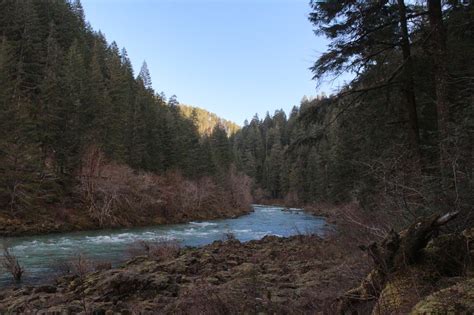 Richard Hikes: North Umpqua Trail - Mott Segment