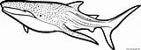 Swimming Whale Shark Coloring Page Printable sketch template