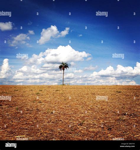 A place in the sun Stock Photo - Alamy