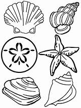 Nautical coloring pages To Download And Print For Free sketch template