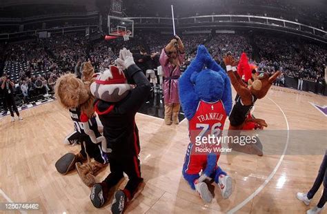 Sacramento Kings mascot Slamson performs with Benny the Bull, The... News Photo - Getty Images