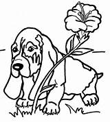 Cartoon Basset Hound Coloring Page  Free Printable Pages For Kids sketch template