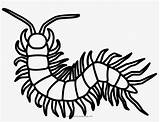 Millipede Coloring Pages sketch template