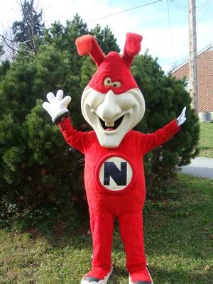 Vintage Domino's Avoid The Noid Ad Mascot Costume 1987 | #251236696