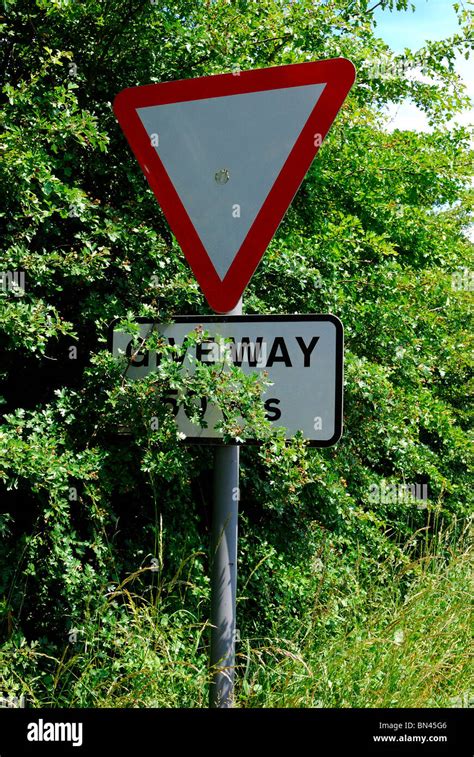 Give Way Sign Obscured by Overgrown hedge Stock Photo - Alamy