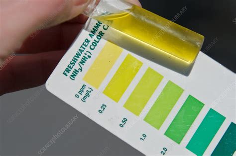 Water Sample with Ammonia Color Chart - Stock Image - C028/7636 - Science Photo Library