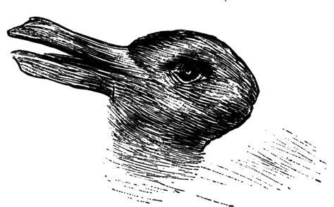 26 best ideas for coloring | Bunny And Duck Illusion