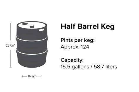 Guide To Beer Keg Sizes And Dimensions, 41% OFF