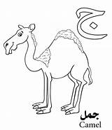 Arabic Alphabet Coloring Pages  Free Printable For Kids sketch template