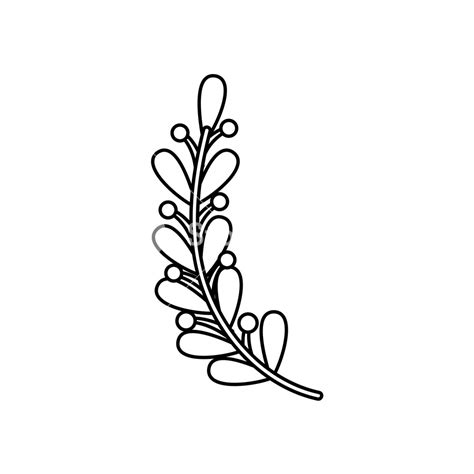 Leaf Line Vector at Vectorified.com | Collection of Leaf Line Vector free for personal use