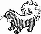 Skunk Coloring Coloring Pages sketch template